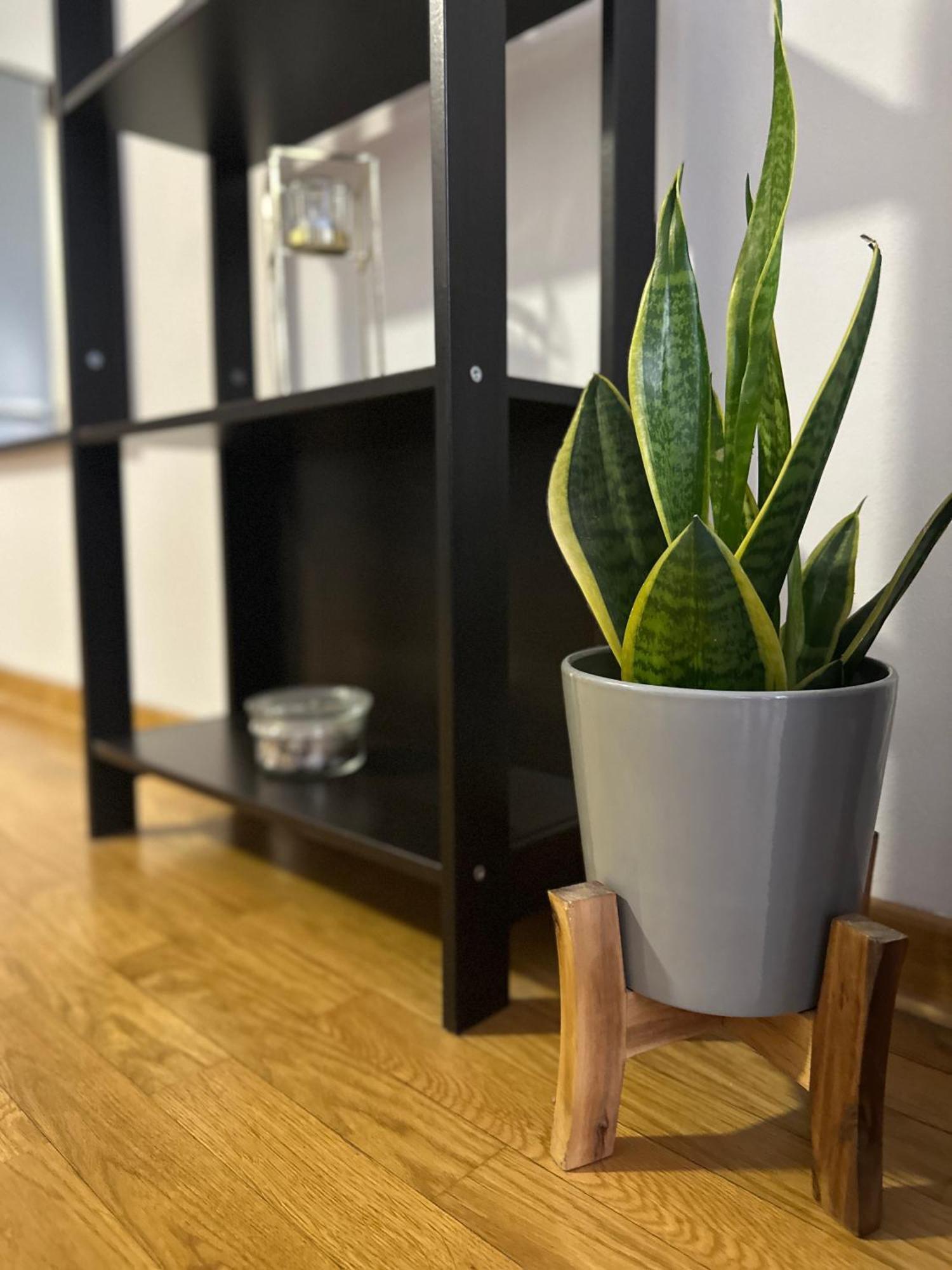 Apartament Charlie Aviv Park Belgrad Zewnętrze zdjęcie